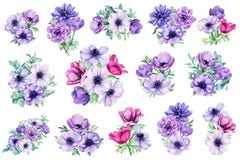 Bouquet of flowers. Watercolor anemones. Floral isolated elements for wedding, invitations, postcards. Watercolor