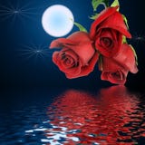 Bouquet From Three Red Roses And Moon. Stock Images