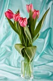 Bouquet Of Bright Tulips Stock Images Bouquet Of Bright Tulips Stock Images