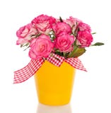 Bouquet Pink Roses Stock Images