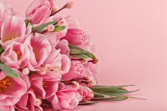 Bouquet of pink tulips on pink background stock photography Bouquet of pink tulips on pink background stock photography