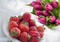 Bouquet of pink tulips and strawberry. A gift for March 8 royalty free stock images Bouquet of pink tulips and strawberry. A gift for March 8 royalty free stock images