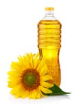 Bouteille d'huile de tournesol avec la fleur d'isolement images stock Bouteille d'huile de tournesol avec la fleur d'isolement images stock