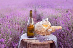 Bouteille de vin contre la lavande Photos libres de droits Bouteille de vin contre la lavande Photos libres de droits