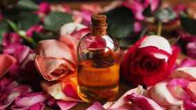Bouteille en verre d'huile d'arome parmi des roses et des pétales sur la table, matière première naturelle, foyer choisi photo libre de droits Bouteille en verre d'huile d'arome parmi des roses et des pétales sur la table, matière première naturelle, foyer choisi photo libre de droits