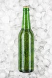 Bouteille à bière verte dans la glace Photos stock Bouteille à bière verte dans la glace Photos stock