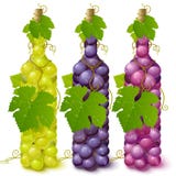 Bouteilles de raisin de vigne Bouteilles de raisin de vigne