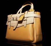 Boutique en cuir élégante de la bourse des femmes Boutique en cuir élégante de la bourse des femmes
