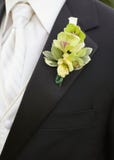 boutonniere royaltyfria foton boutonniere royaltyfria foton