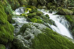 Bovska Skaklya Waterfall Stock Images Bovska Skaklya Waterfall Stock Images
