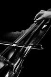 The bow on the strings of the cello closeup stock photos The bow on the strings of the cello closeup stock photos