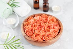 Bowl with fresh wet rose and essential oil bottle for spa, wellness and aromatherapy. Stock Images Bowl with fresh wet rose and essential oil bottle for spa, wellness and aromatherapy. Stock Images