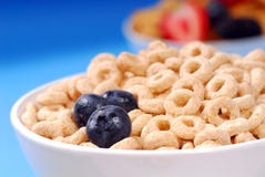Bowl of oat cereal with blueberries stock images Bowl of oat cereal with blueberries stock images