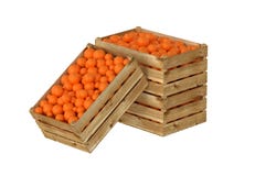 box isolated wooden Вполне оранжевого плодоовощ белизна изолированная предпосылкой бесплатная иллюстрация box isolated wooden Вполне оранжевого плодоовощ белизна изолированная предпосылкой бесплатная иллюстрация