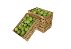 box isolated wooden Вполне плодоовощ яблок белизна изолированная предпосылкой иллюстрация вектора box isolated wooden Вполне плодоовощ яблок белизна изолированная предпосылкой иллюстрация вектора