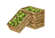 box isolated wooden Вполне плодоовощ яблок белизна изолированная предпосылкой бесплатная иллюстрация box isolated wooden Вполне плодоовощ яблок белизна изолированная предпосылкой бесплатная иллюстрация