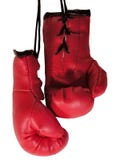Boxing Gloves 3