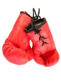 Boxing Gloves 4