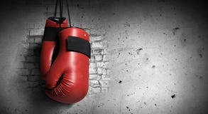 Boxing Results & Schedule