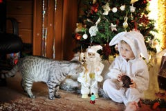 Boy And A Christmas Tree Stock Photo