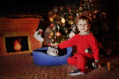 Boy And A Christmas Tree Stock Photography