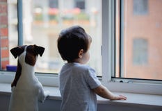 Boy And Dog Look Out The Window Royalty Free Stock Photo