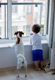 Boy And Dog Look Out The Window Royalty Free Stock Photography