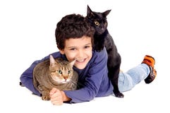 Boy with cats royalty free stock photos Boy with cats royalty free stock photos