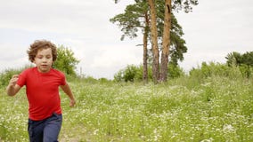 Boy and girld are playing in catch in flower meadow at summer vacation. stock video Boy and girld are playing in catch in flower meadow at summer vacation. stock video