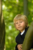Boy In Tree Royalty Free Stock Photo