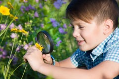Boy with magnifying glass in summer garden Royalty Free Stock Images Boy with magnifying glass in summer garden Royalty Free Stock Images