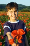 Boy Offering A Bunch Of Poppy Flowers Stock Image