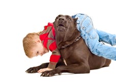 Boy playing with the dog Stock Photo Boy playing with the dog Stock Photo