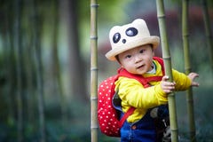 Boy Playing In Bamboo Forest Stock Images Boy Playing In Bamboo Forest Stock Images