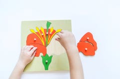 Boy Students Child`s Hands Learning Biology With Montessori Material Royalty Free Stock Photos
