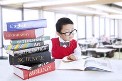 Boy study literature books at library stock photography Boy study literature books at library stock photography