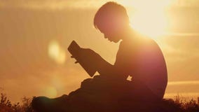 Boy Reading Book Under Tree Stock Images - Download 102 Photos