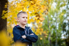 The boy throws autumn leaves. Joyful child. Park, autumn day stock image The boy throws autumn leaves. Joyful child. Park, autumn day stock image