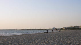 Boys teenagers playing with dog at horizon while walking on sea beach. Summer activity stock footage Boys teenagers playing with dog at horizon while walking on sea beach. Summer activity stock footage