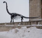 Brachiosaurus im Schnee Brachiosaurus im Schnee