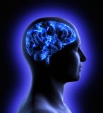 Brain Activity stock illustration Brain Activity stock illustration