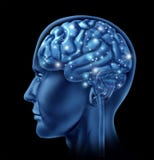Brain activity intelligence