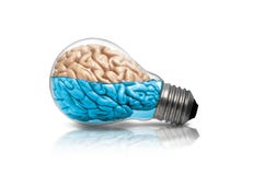 Brain Lamp Idea royaltyfri illustrationer Brain Lamp Idea royaltyfri illustrationer