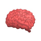 Brain or mind side view vector icon for medical apps and websites vector illustration Brain or mind side view vector icon for medical apps and websites vector illustration