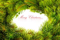 Branch Of Christmas Tree Royalty Free Stock Image Branch Of Christmas Tree Royalty Free Stock Image