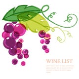 Branch of pink grape with green leaves. Abstract vector watercol Royalty Free Stock Photo Branch of pink grape with green leaves. Abstract vector watercol Royalty Free Stock Photo
