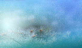 Branche de pin de Noël dans les rayons de la fin légère, du fond bleu avec des réflexions des étoiles et du beau bokeh des lanter illustration de vecteur Branche de pin de Noël dans les rayons de la fin légère, du fond bleu avec des réflexions des étoiles et du beau bokeh des lanter illustration de vecteur