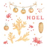 Branches de pin d'or d'aquarelle sur le fond blanc illu illustration stock Branches de pin d'or d'aquarelle sur le fond blanc illu illustration stock
