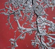 Branches Full Of Snow And Red Wall Stock Photo