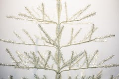 Branches of white christmas tree stock image Branches of white christmas tree stock image